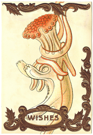 Illustration for article titled The Secret Career of 19th Century Naturalist Ernst Haeckel